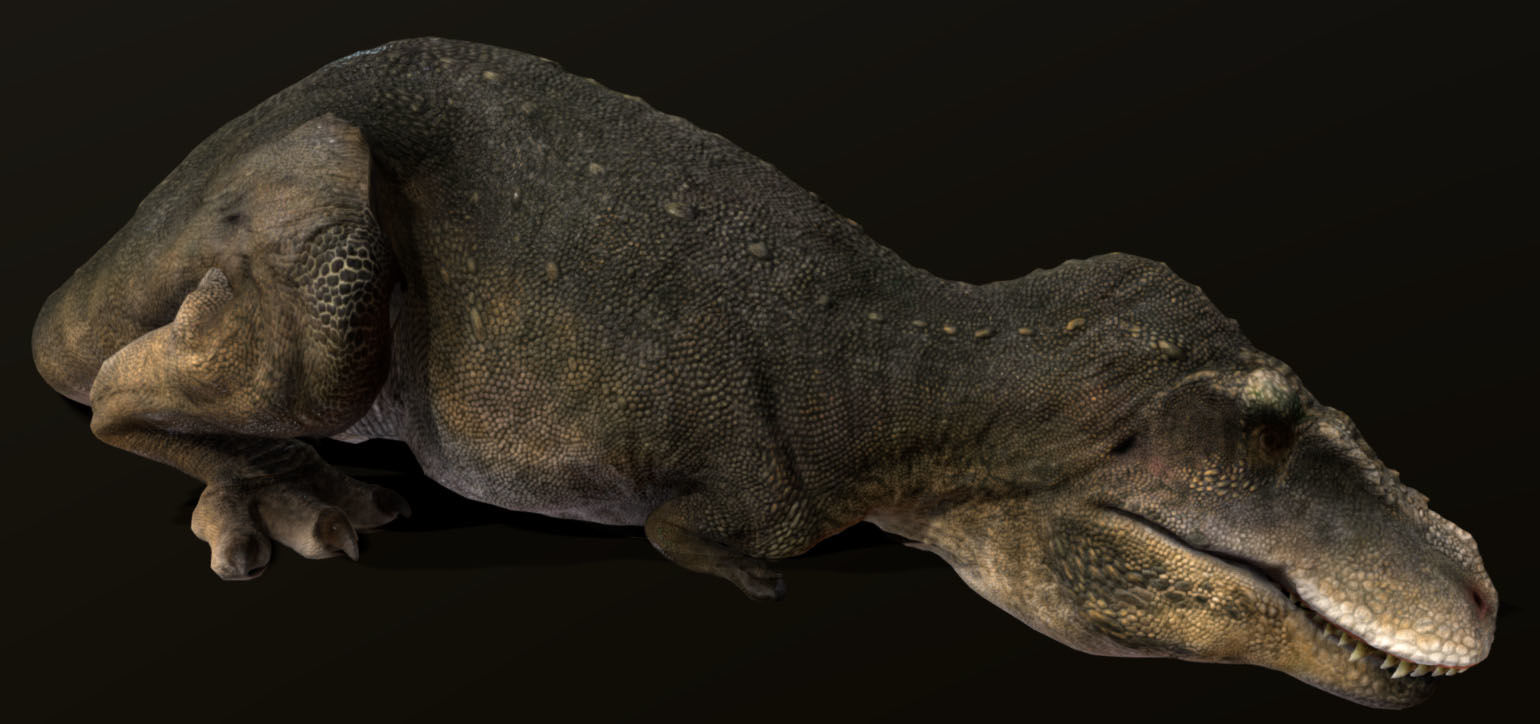 Tarbosaurus Low-poly 3D model_8
