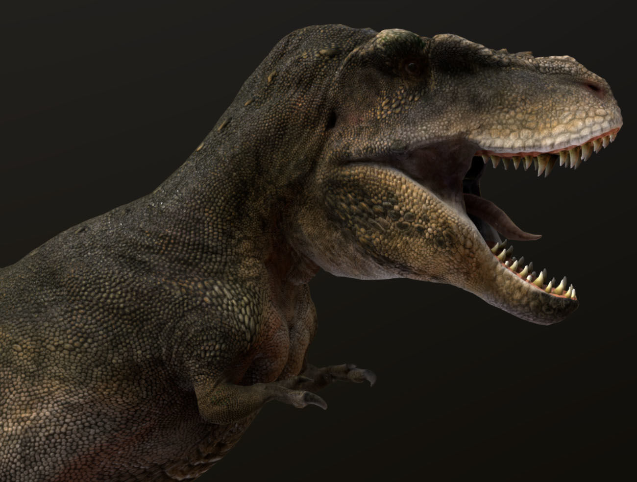 Tarbosaurus Low-poly 3D model_6
