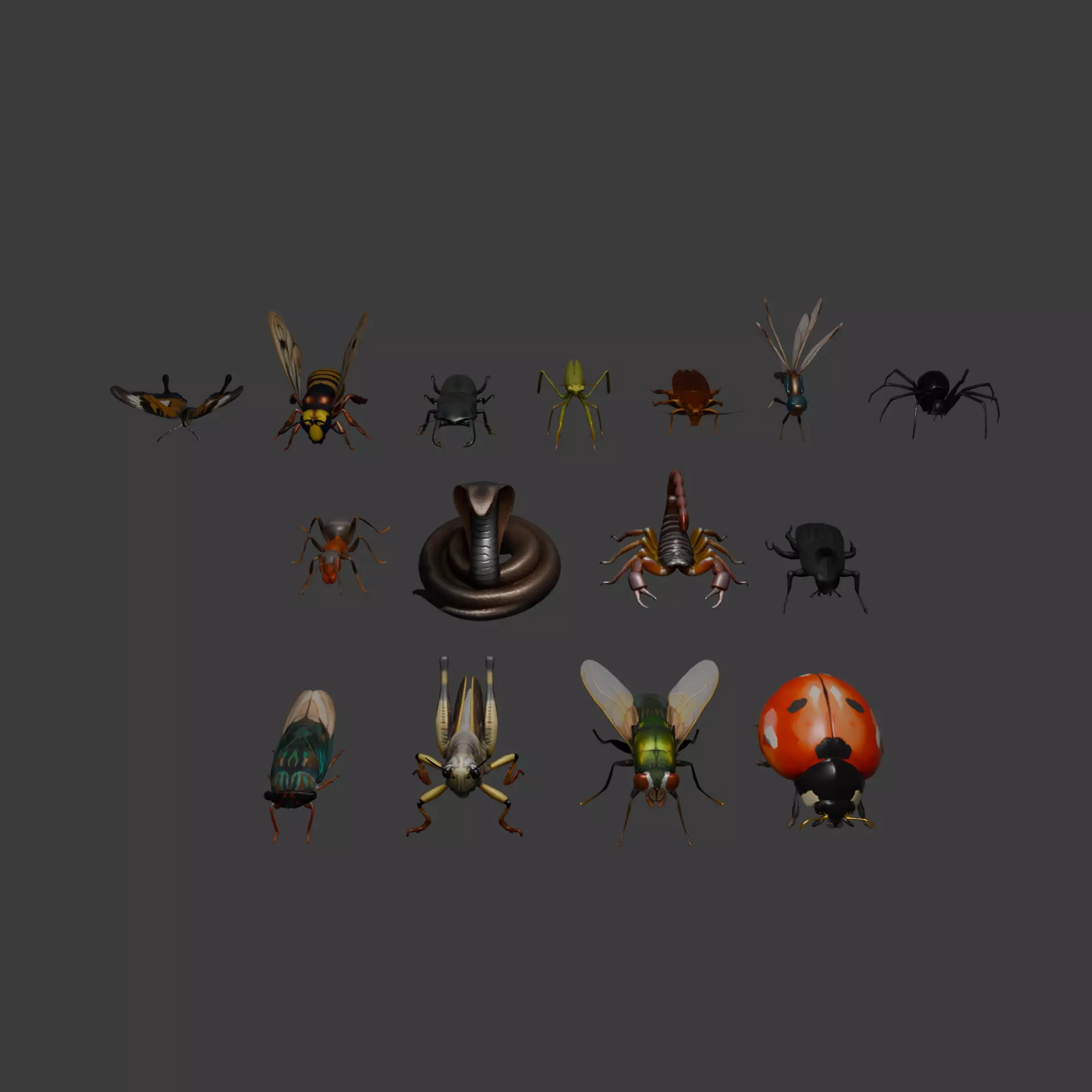 Low Poly Insect Set 15 Unique Models for Your Projects Low-poly 3D model