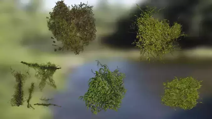 4K Bryophytes Textures Pack