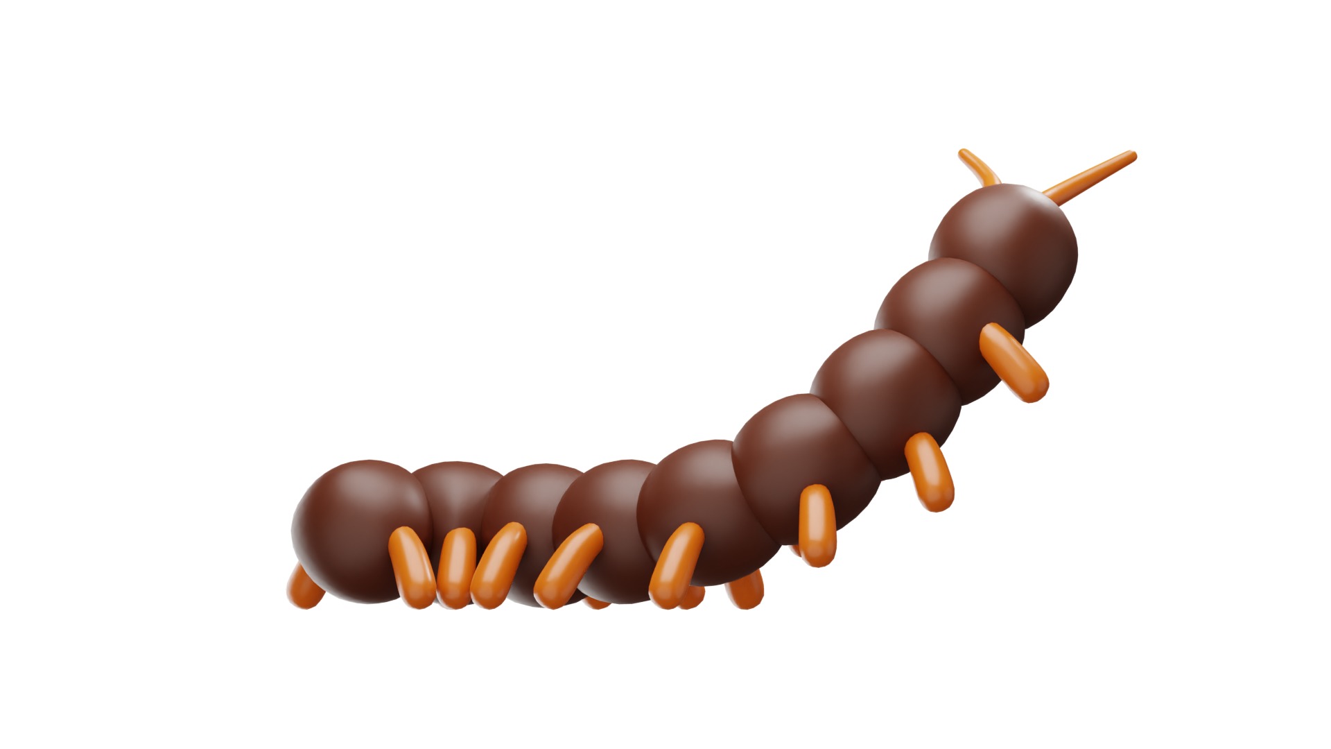 Centipede 3D model_11