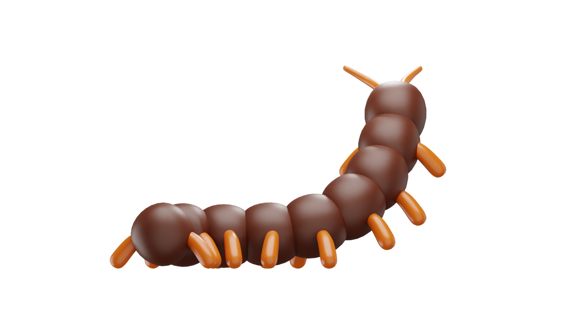Centipede 3D model_9