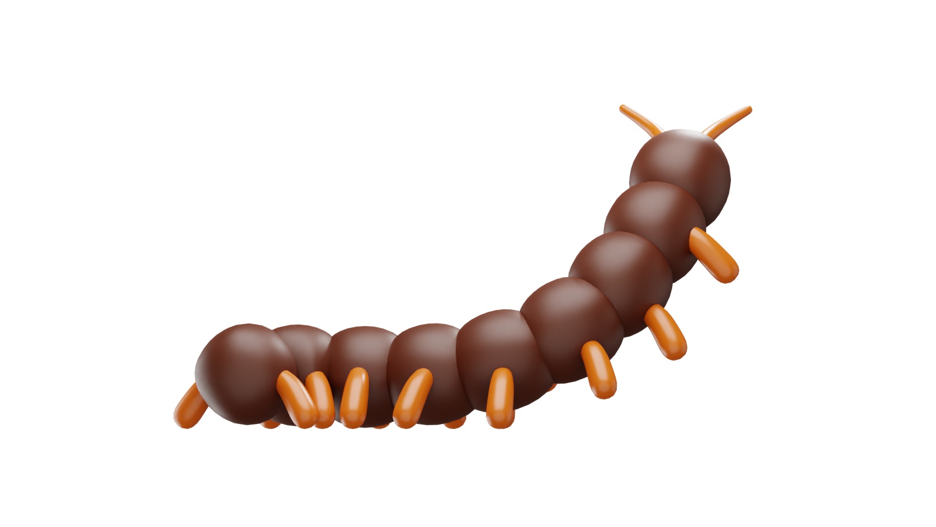 Centipede 3D model_10