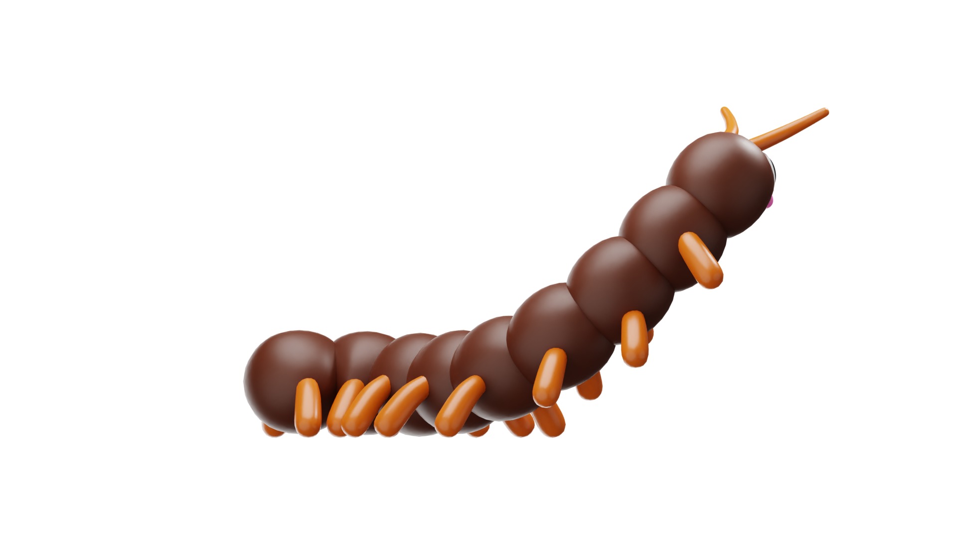 Centipede 3D model_12