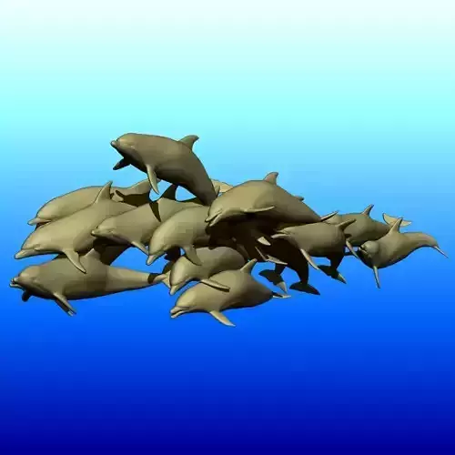 A pod of Dolphins 3D model