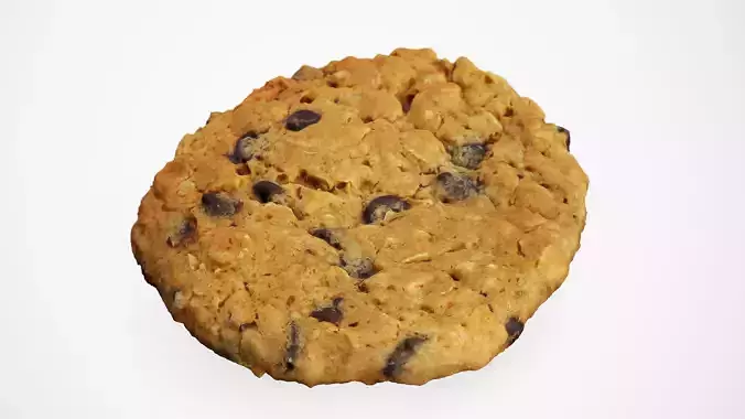 Chocolate Chip Cookie - Photorealistic Scan