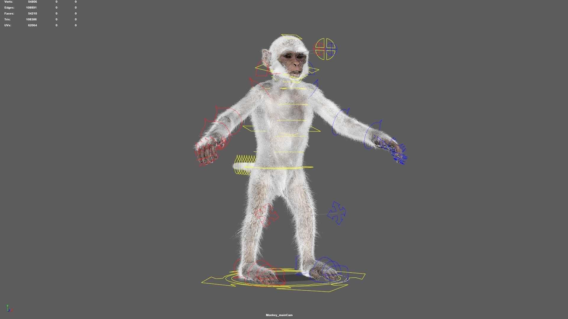 Realistic Monkey Fur Rigged 3D model_25