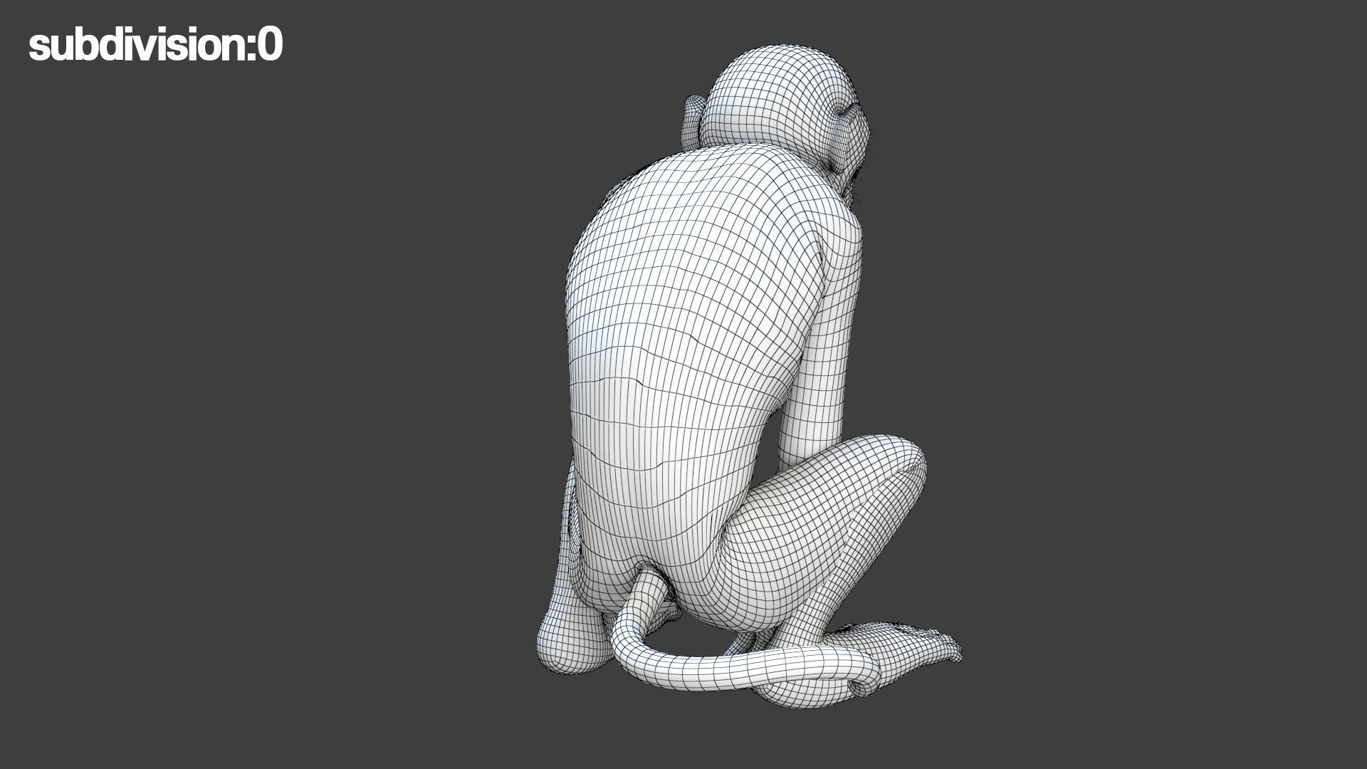 Realistic Monkey Fur Rigged 3D model_23