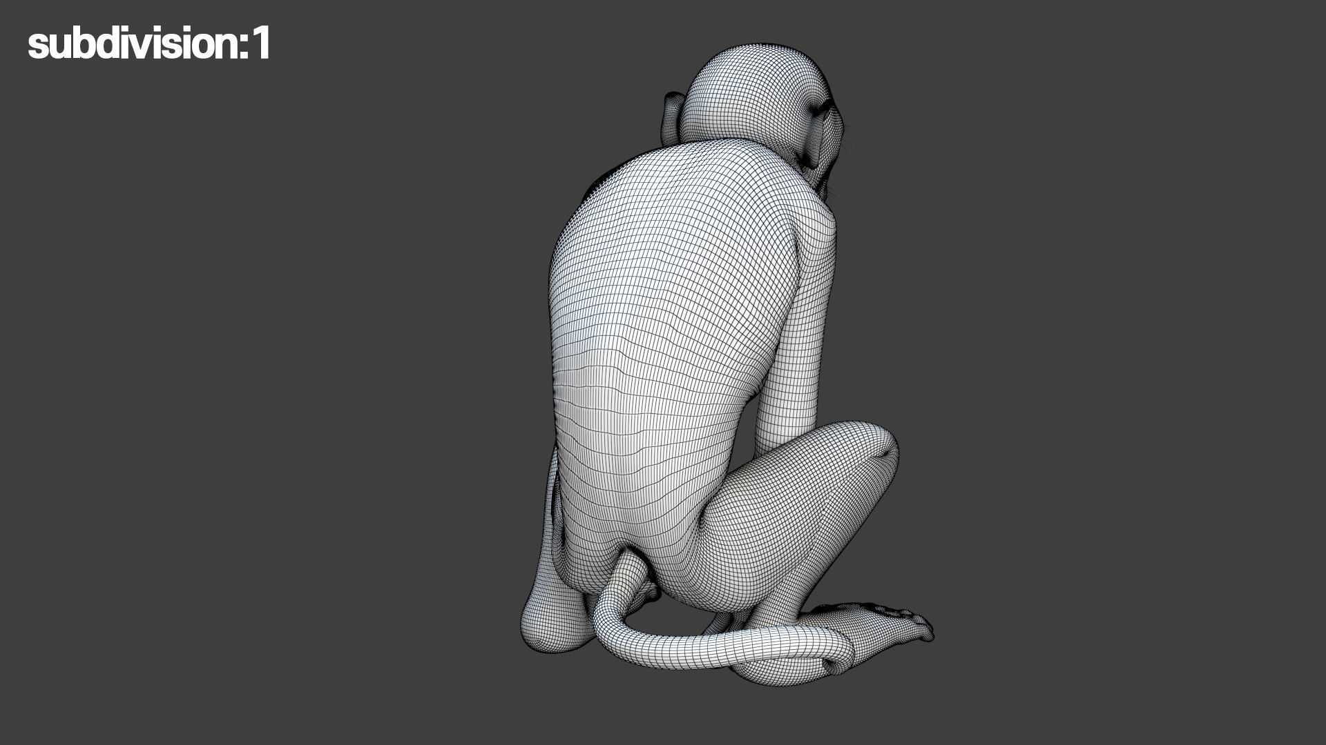 Realistic Monkey Fur Rigged 3D model_24