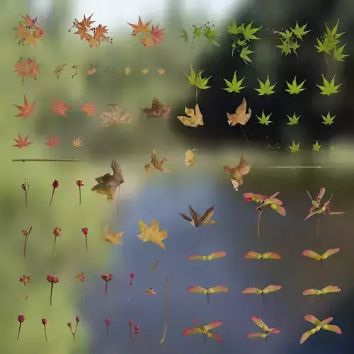 4K Acer Palmatum Atlas Textures Pack