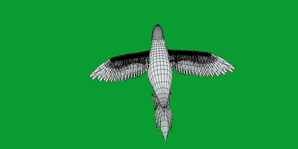 Macaw Parrot Bird Low-poly 3D model_12