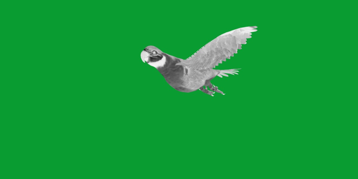 Macaw Parrot Bird Low-poly 3D model_7