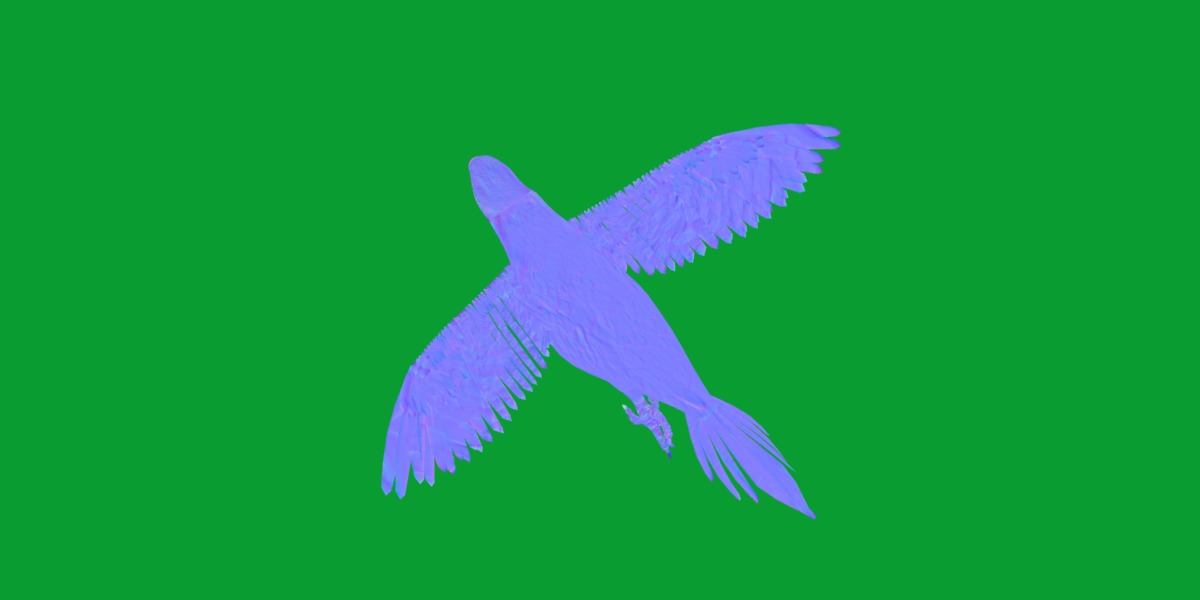 Macaw Parrot Bird Low-poly 3D model_5