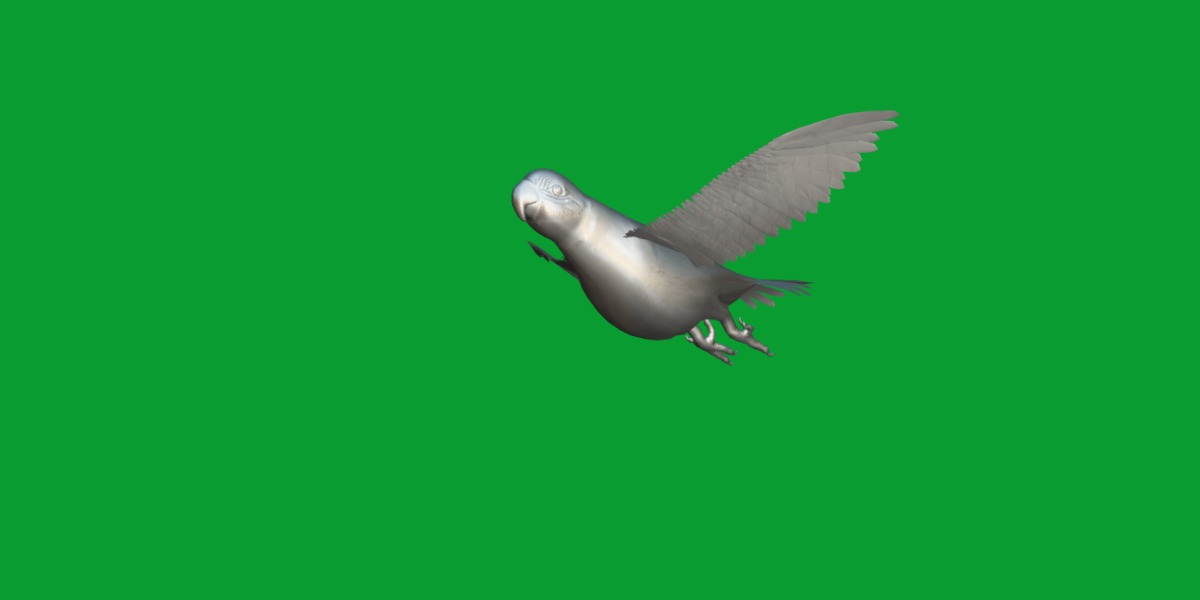 Macaw Parrot Bird Low-poly 3D model_10