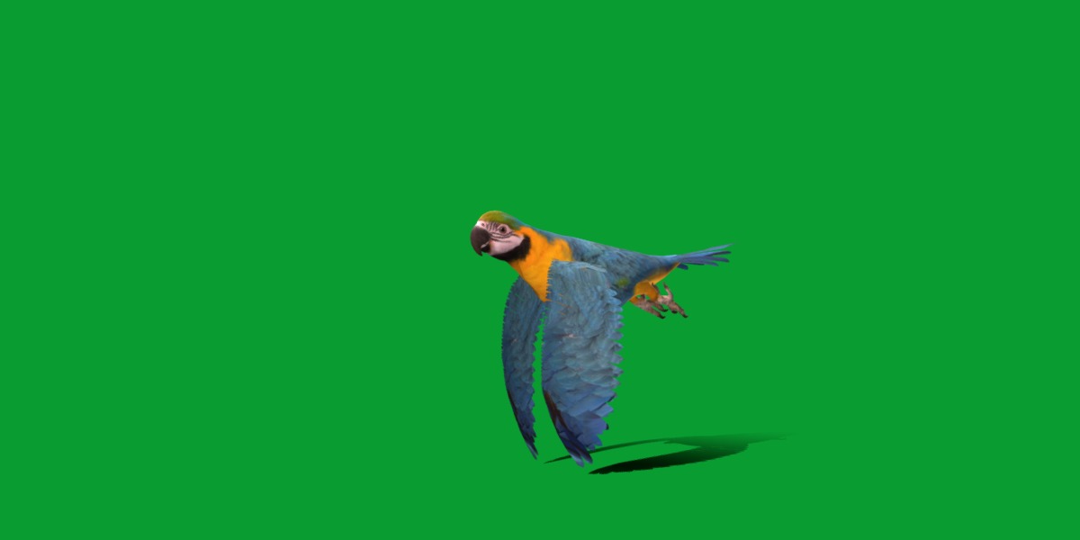 Macaw Parrot Bird Low-poly 3D model_2