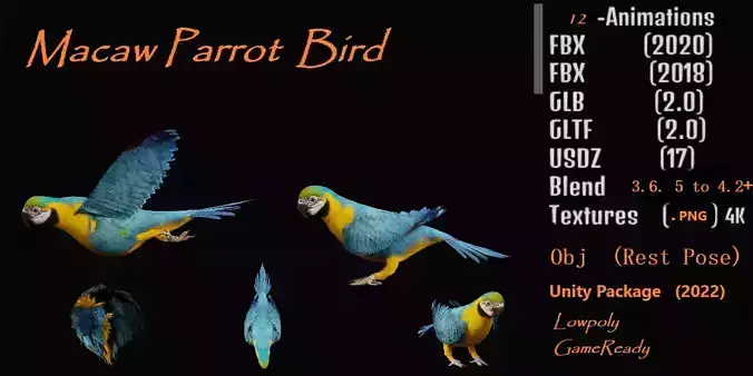 Macaw Parrot Bird Low-poly 3D model