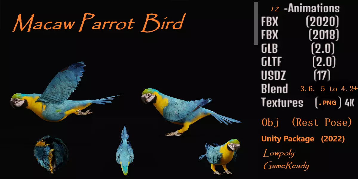 Macaw Parrot Bird Low-poly 3D model_0