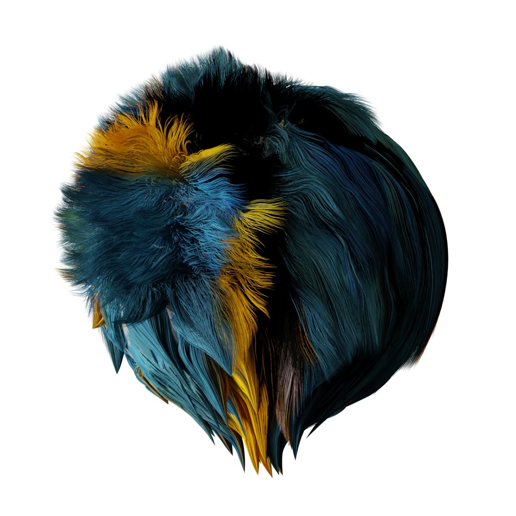 Macaw Parrot Bird Low-poly 3D model_28