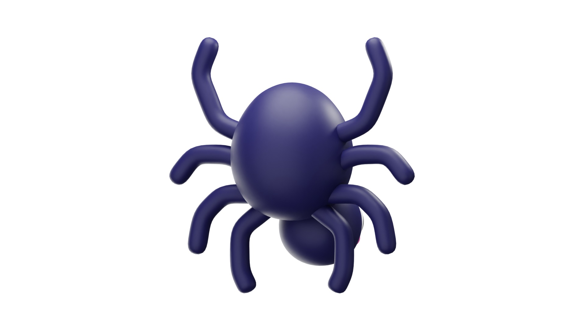 Spider 3D model_11