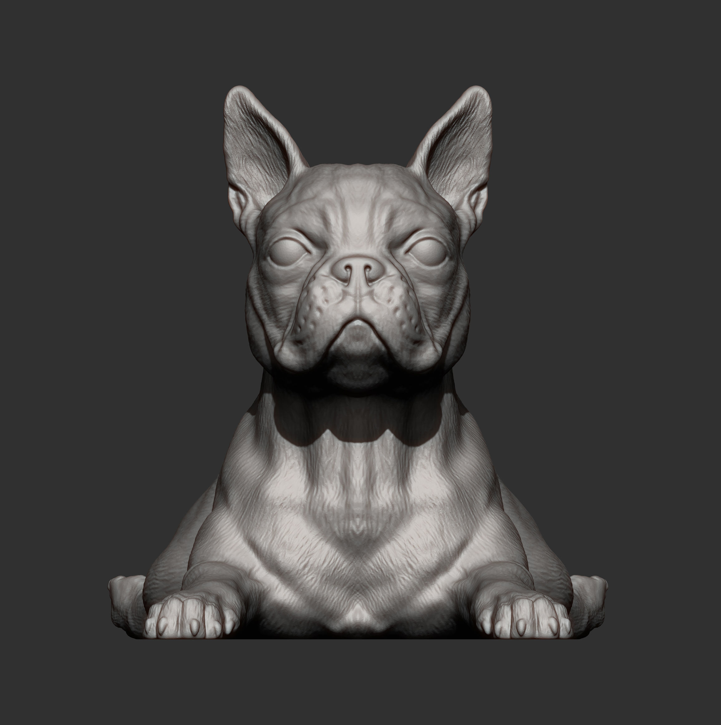 boston terrier lying down 3D print model_4