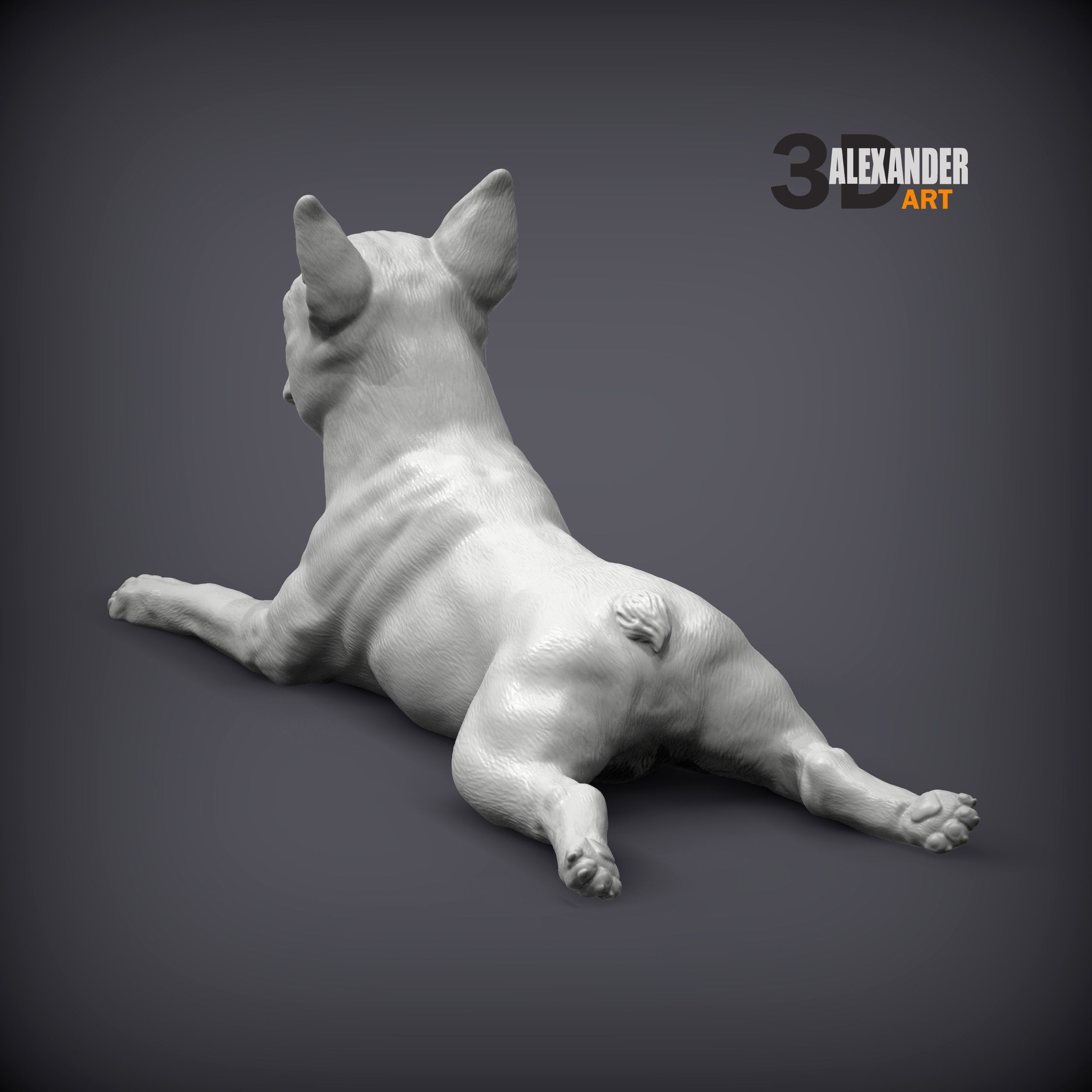 boston terrier lying down 3D print model_5