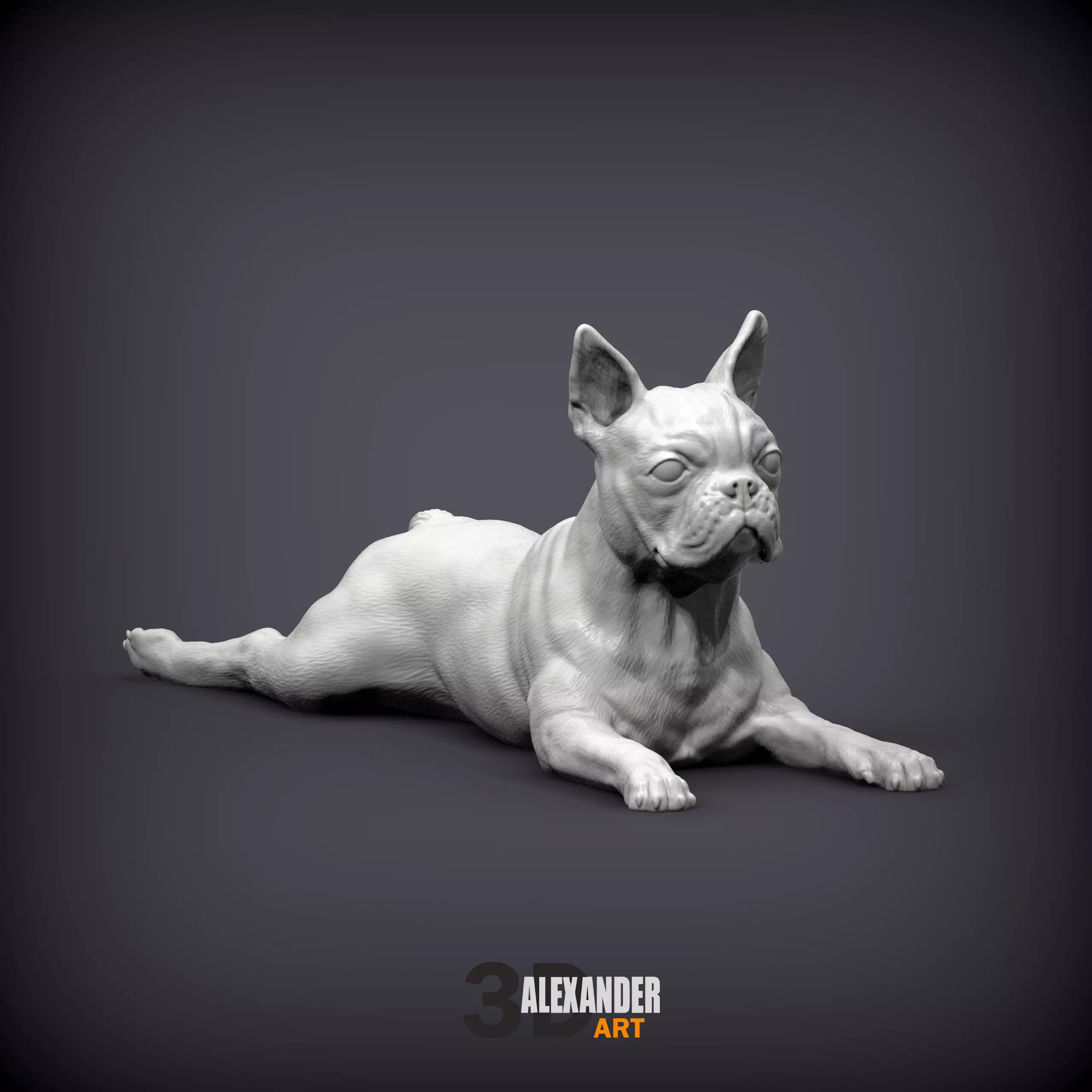 boston terrier lying down 3D print model_0