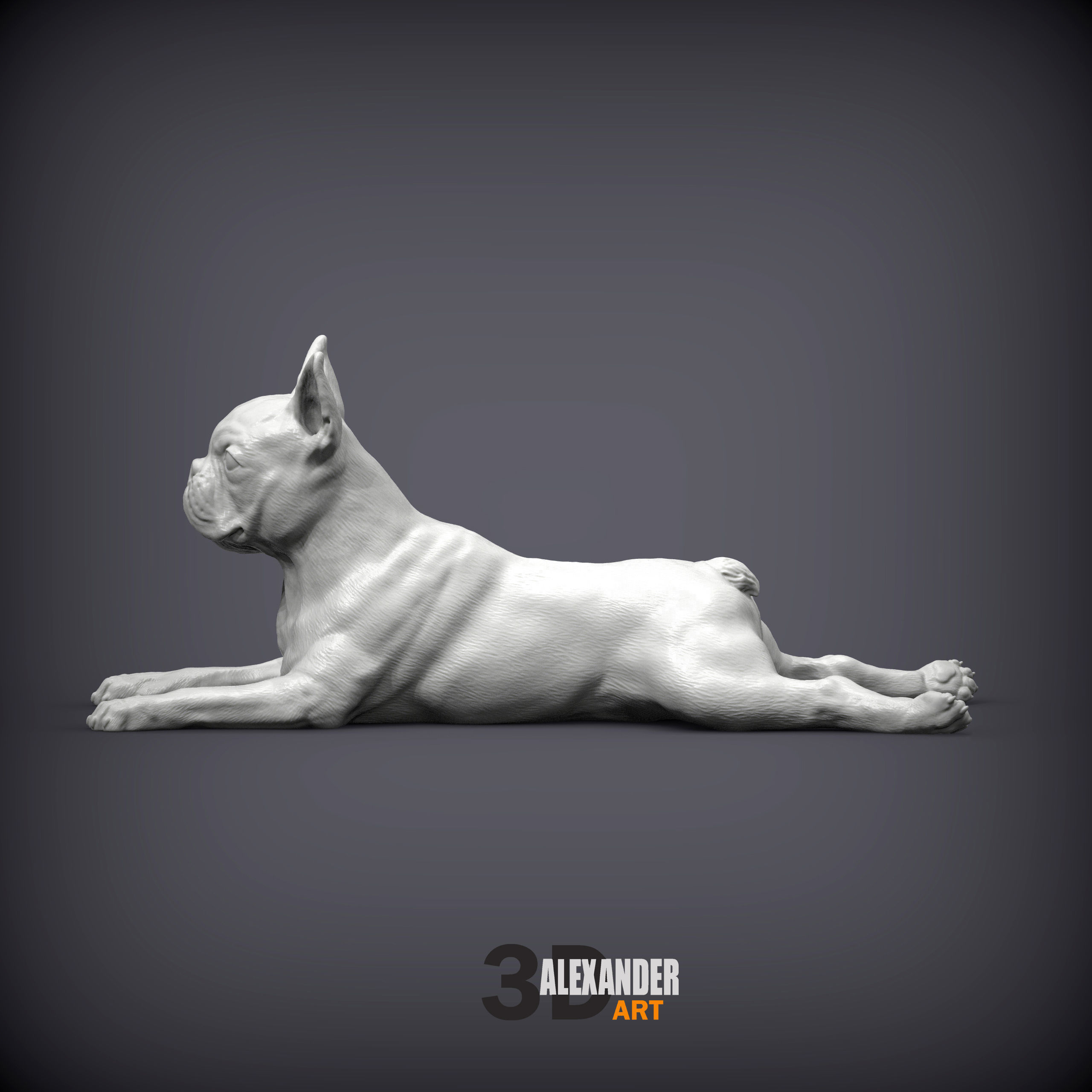 boston terrier lying down 3D print model_2