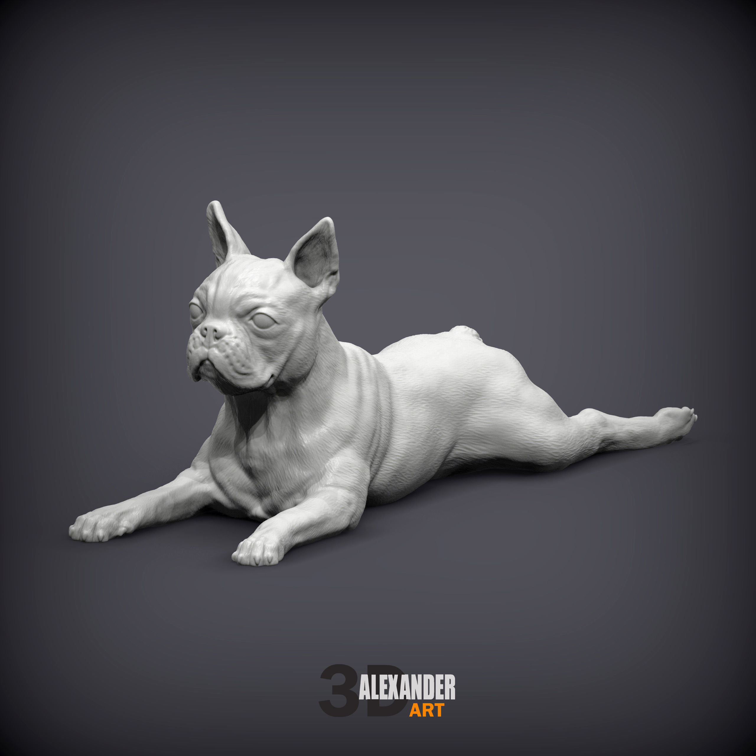 boston terrier lying down 3D print model_3