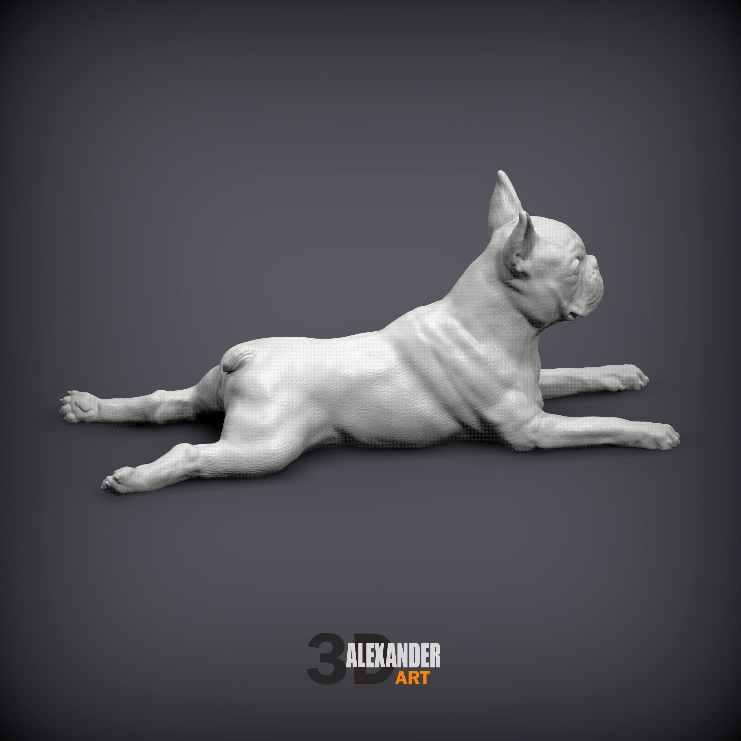 boston terrier lying down 3D print model_1