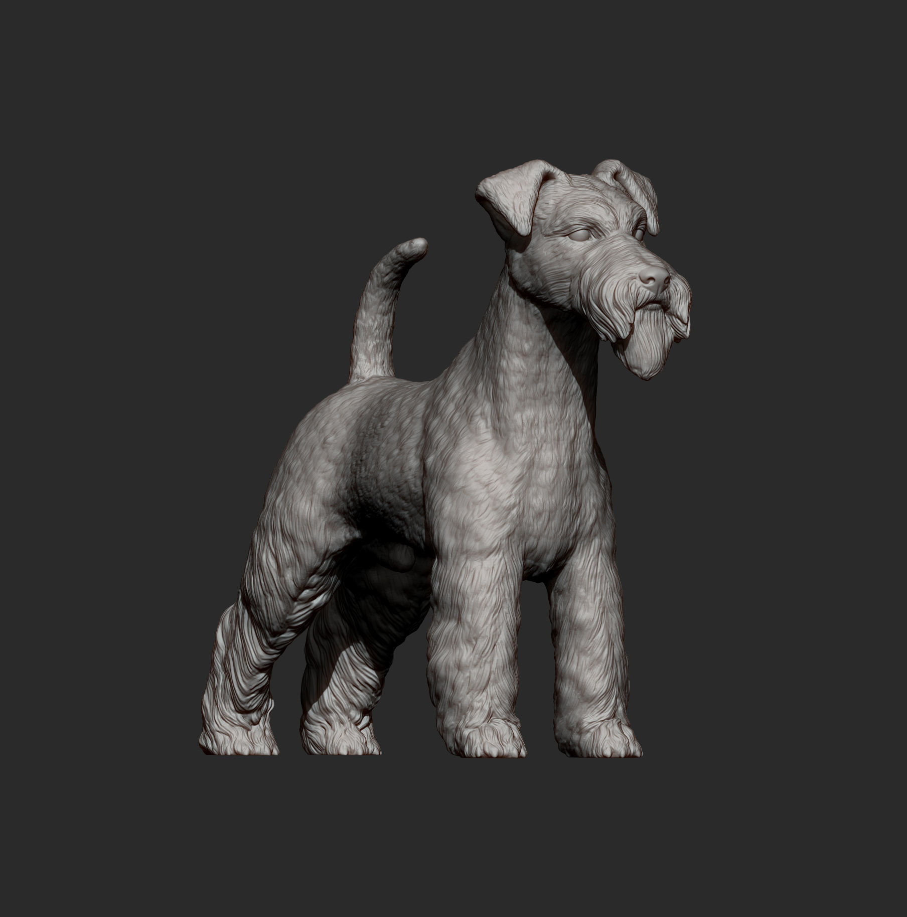 Fox Terrier 3D print model_6