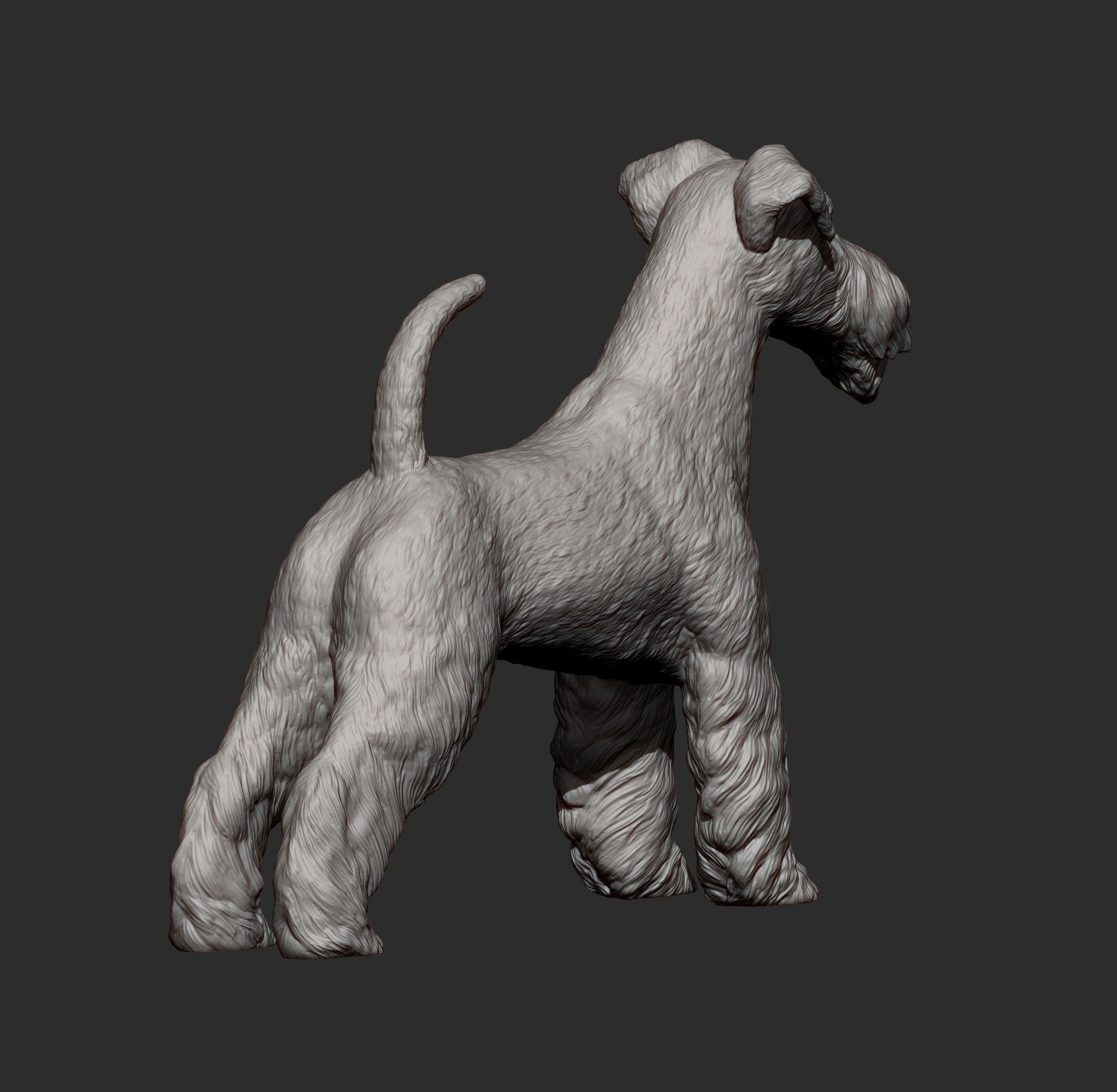 Fox Terrier 3D print model_8