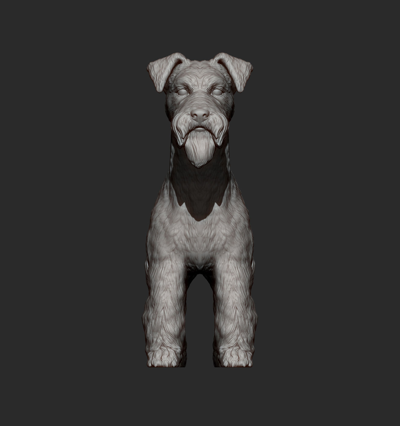 Fox Terrier 3D print model_7