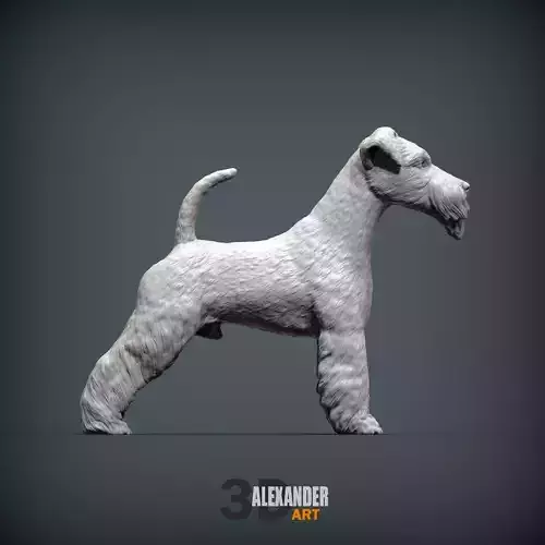 Fox Terrier
