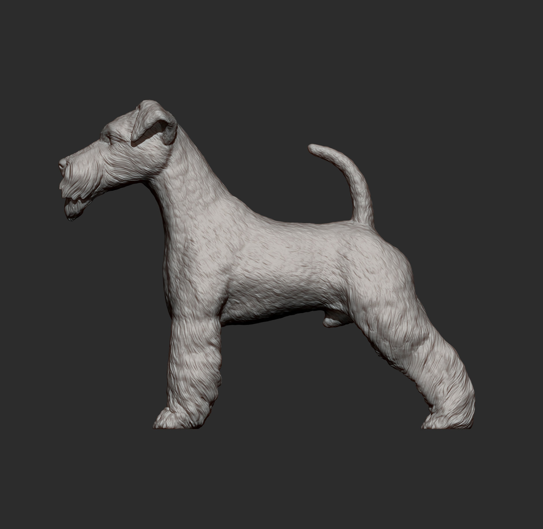 Fox Terrier 3D print model_5