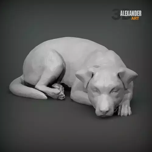 Jack Russell Terrier Sleeping