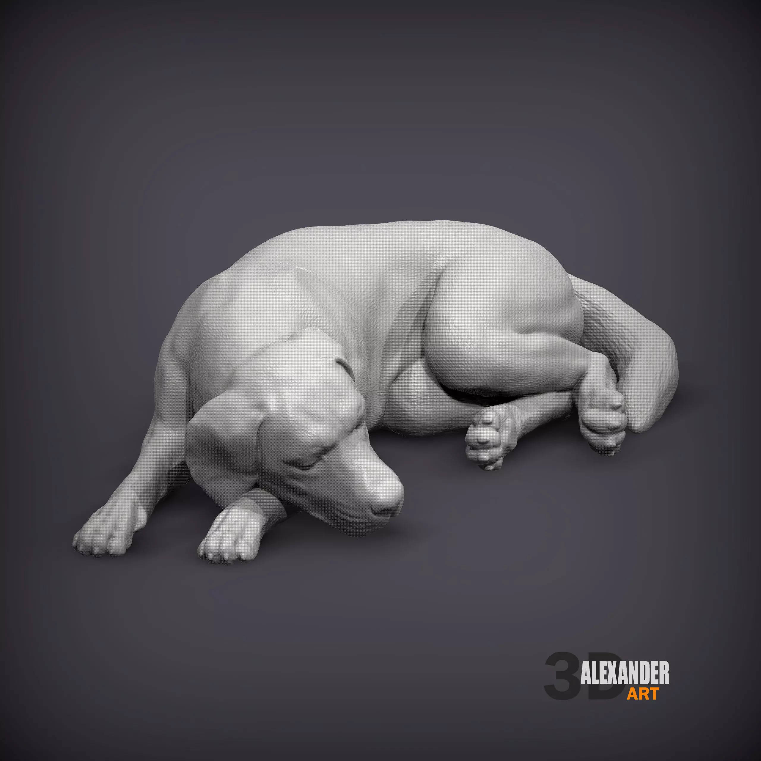 Labrador is sleeping 3D print model_0