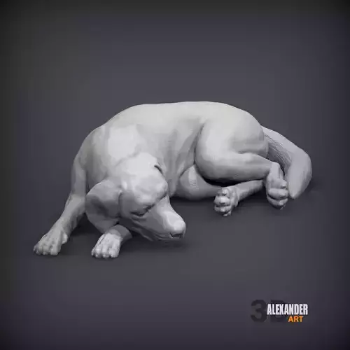 Labrador is sleeping 3D print model