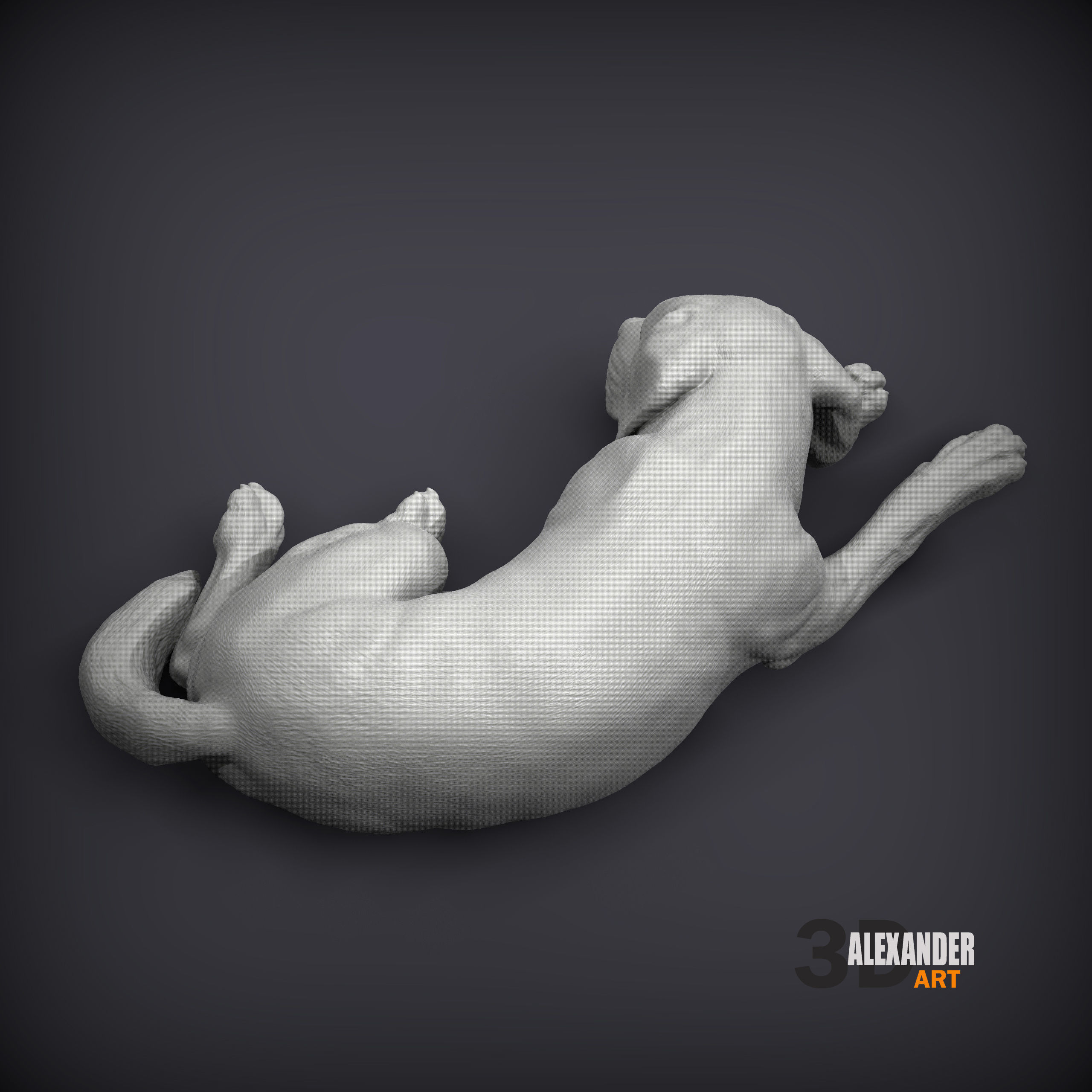 Labrador is sleeping 3D print model_5