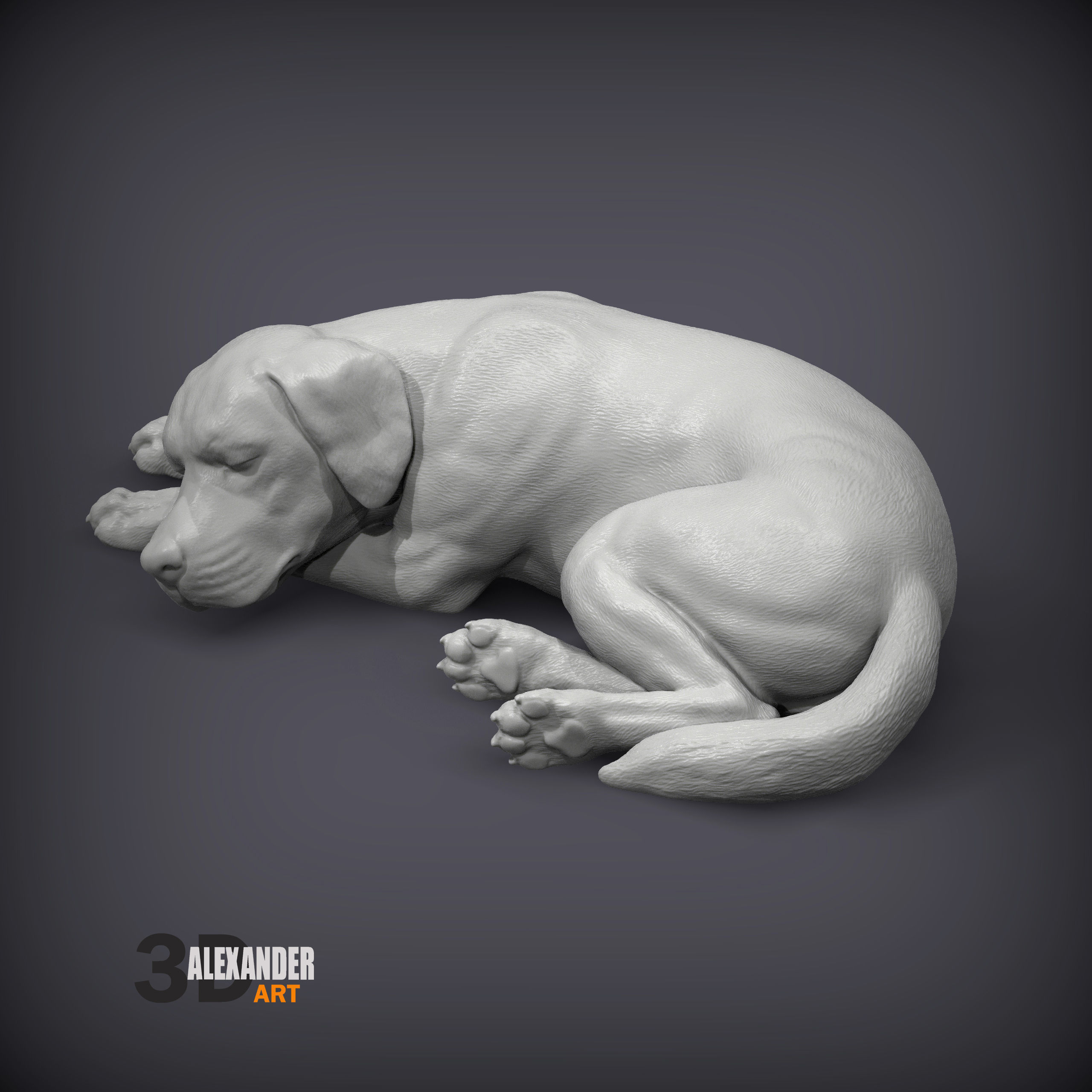 Labrador is sleeping 3D print model_2