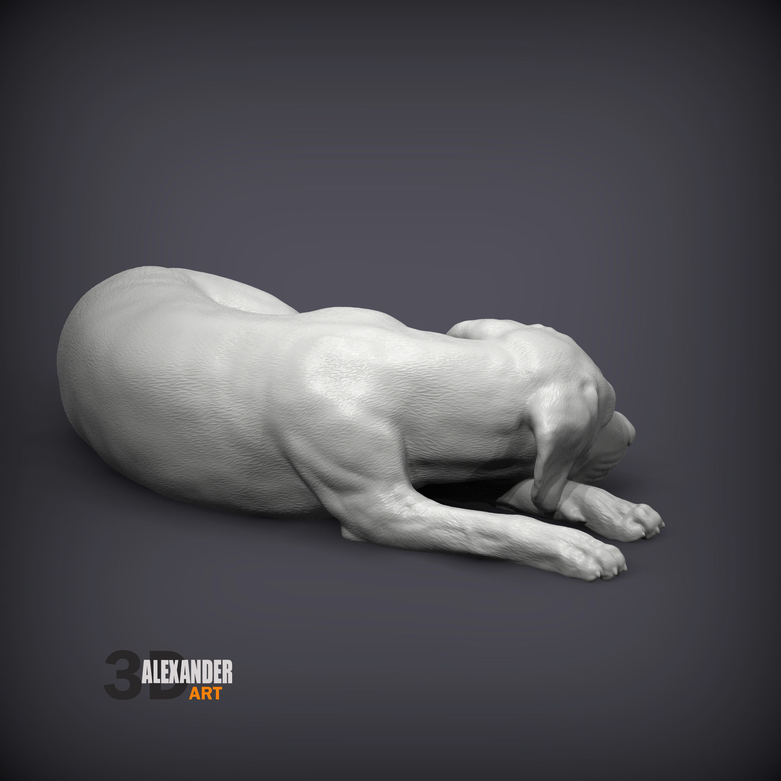 Labrador is sleeping 3D print model_4