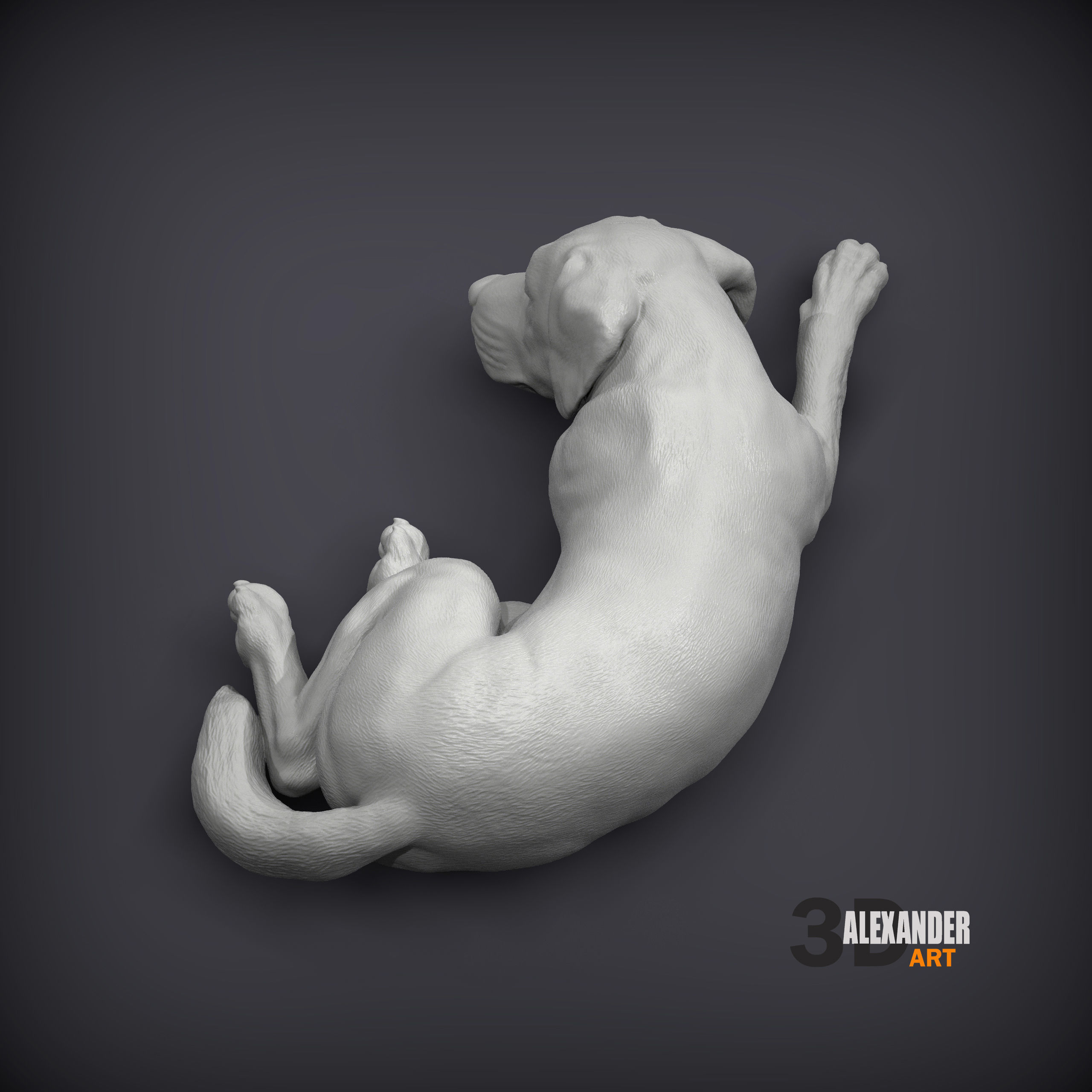Labrador is sleeping 3D print model_1
