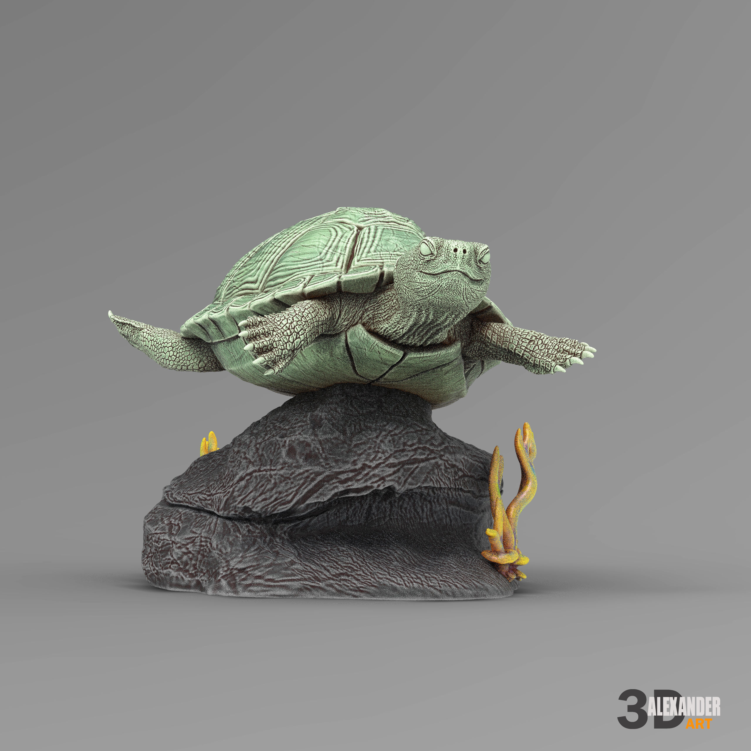 red-eared slider turtle swimming 3D print model_2