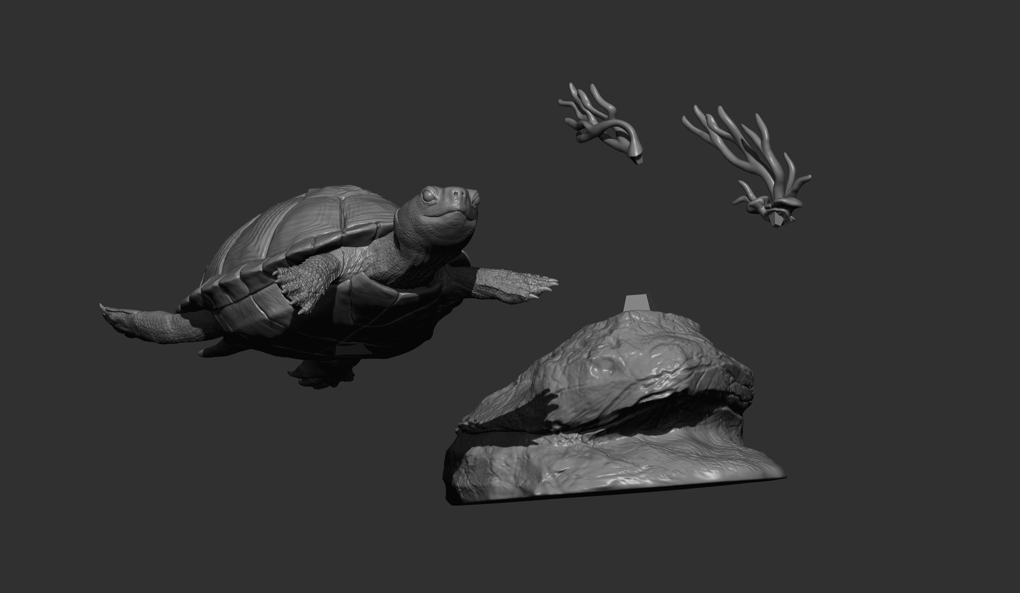 red-eared slider turtle swimming 3D print model_12