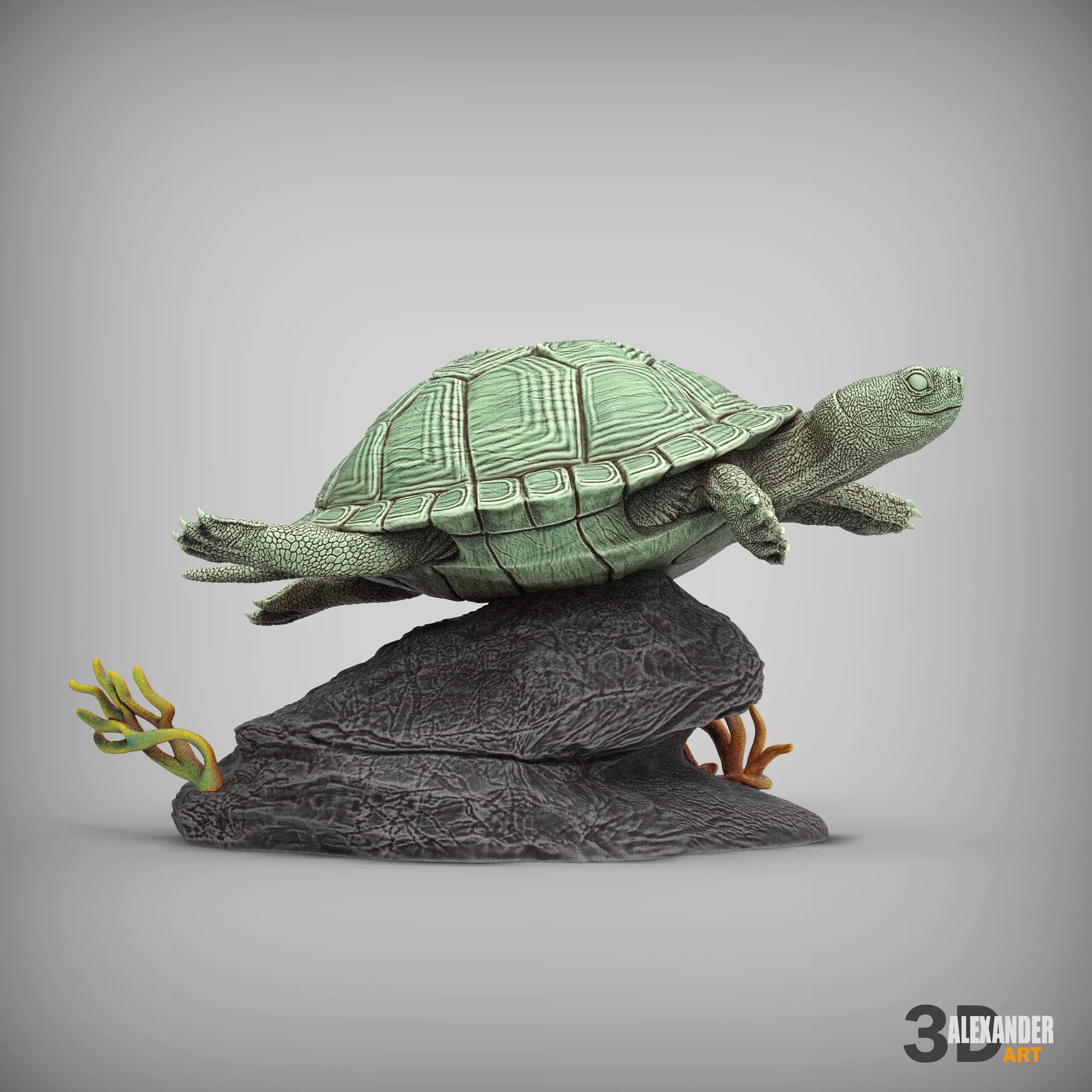 red-eared slider turtle swimming 3D print model_0