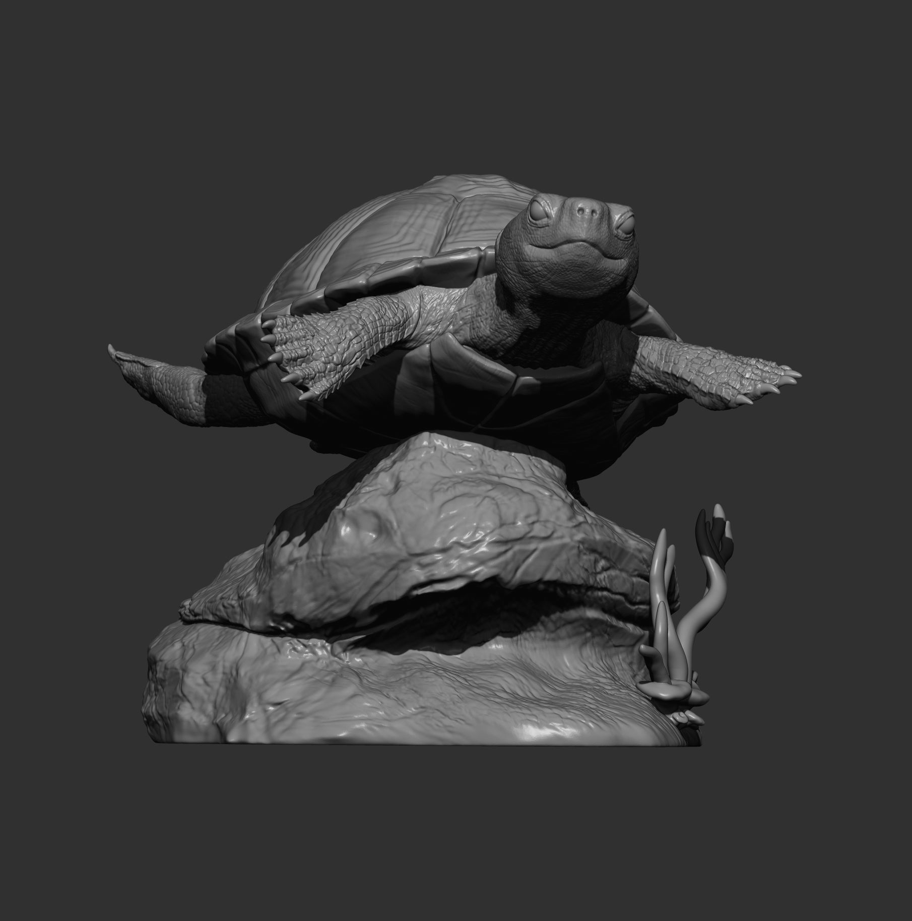 red-eared slider turtle swimming 3D print model_10