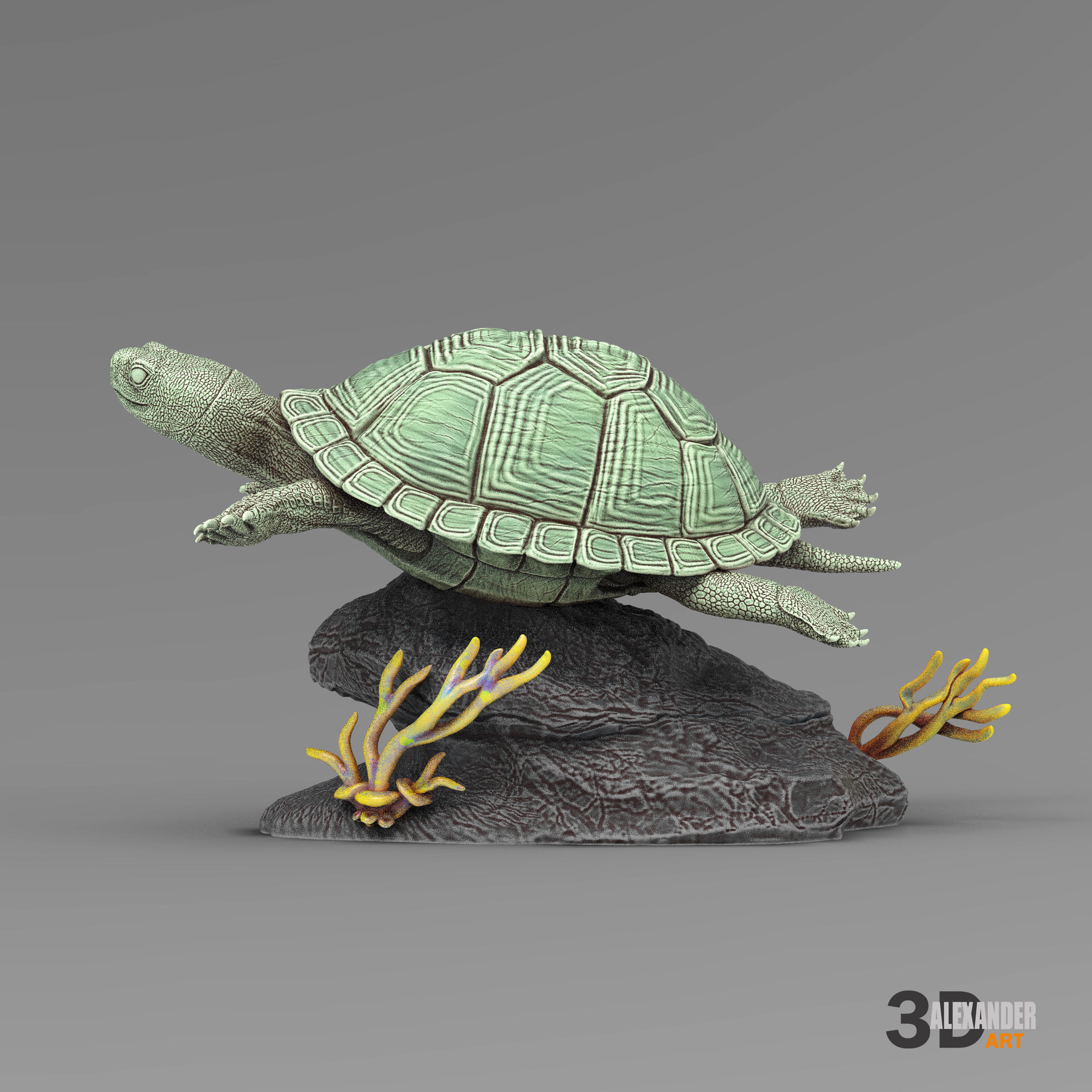 red-eared slider turtle swimming 3D print model_3
