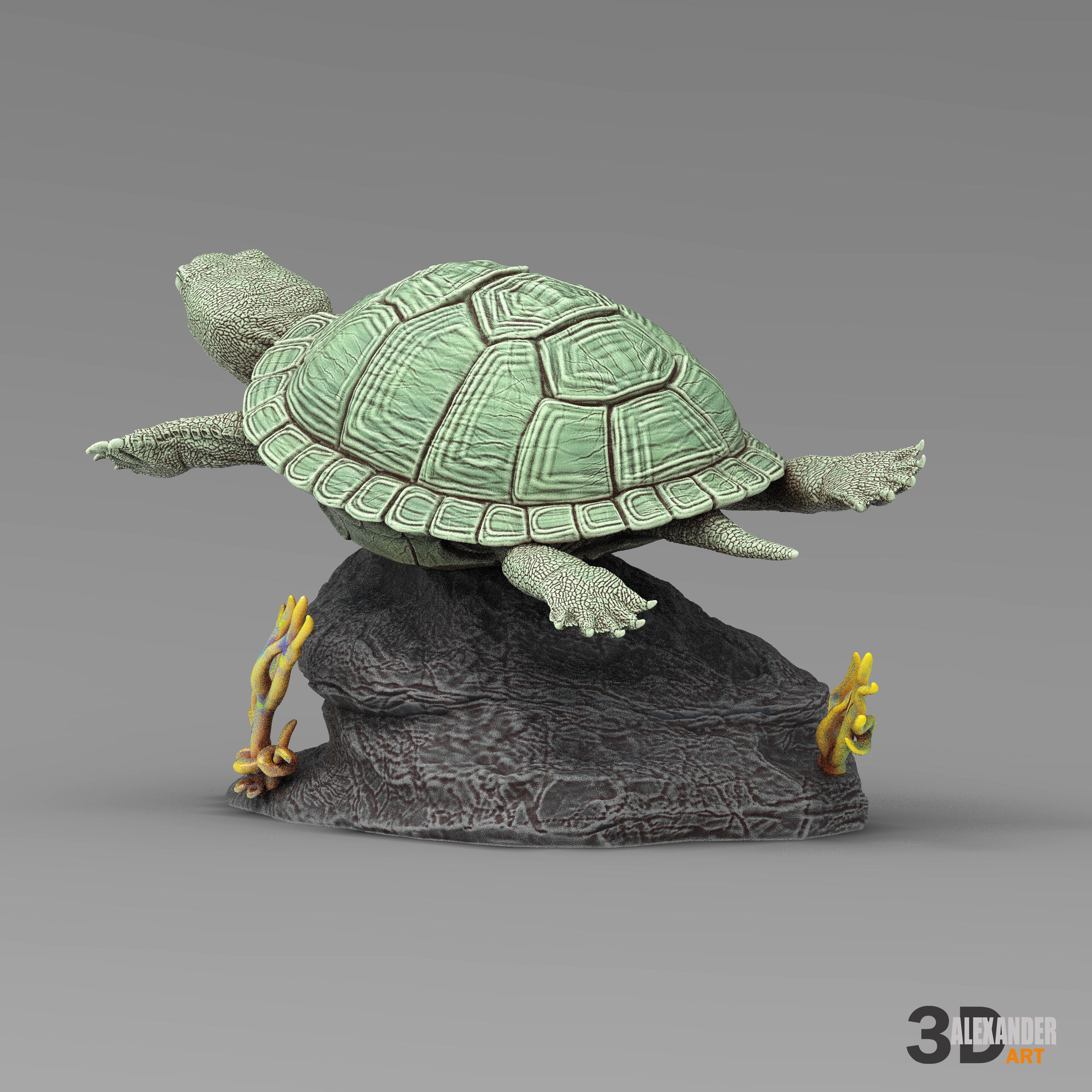 red-eared slider turtle swimming 3D print model_4