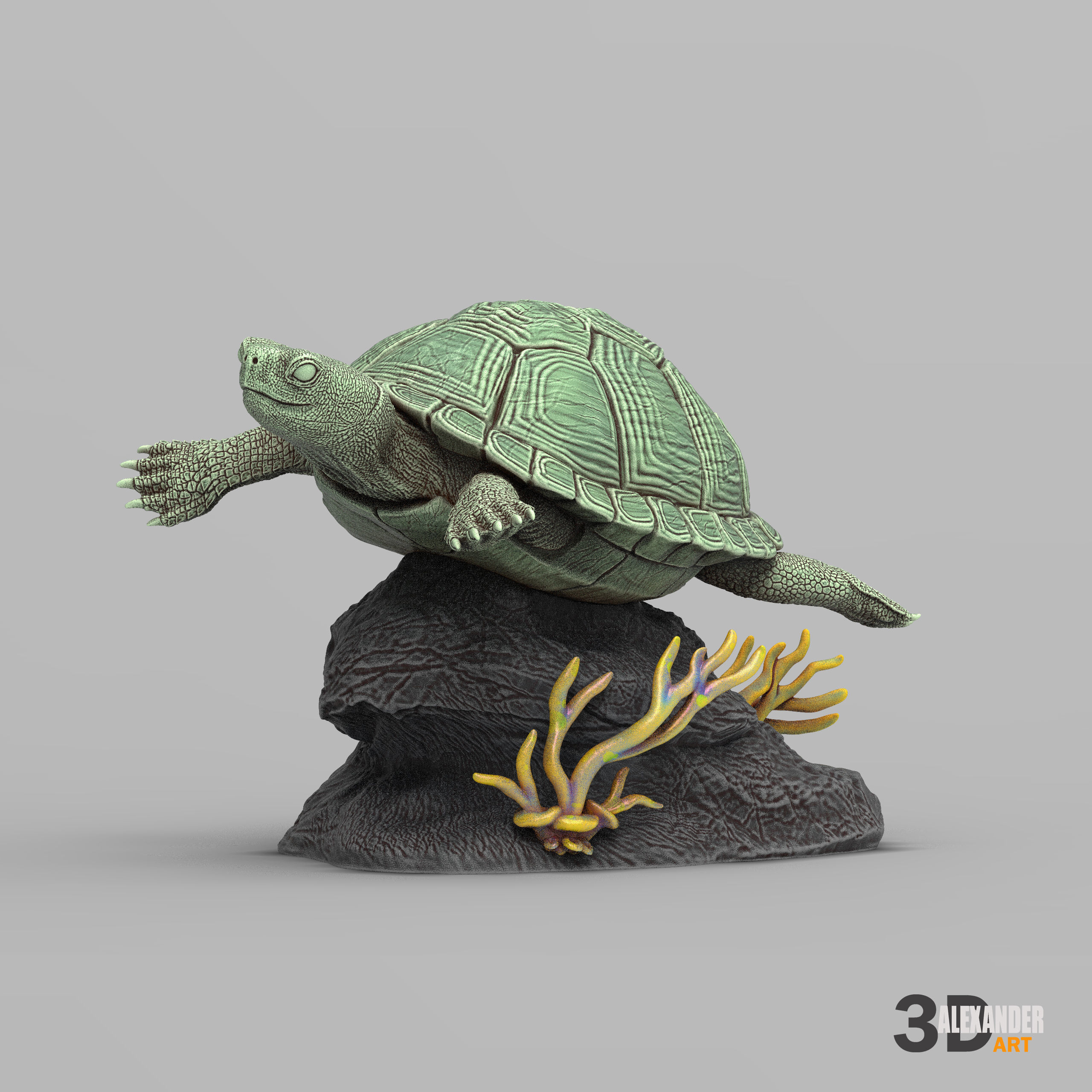 red-eared slider turtle swimming 3D print model_1