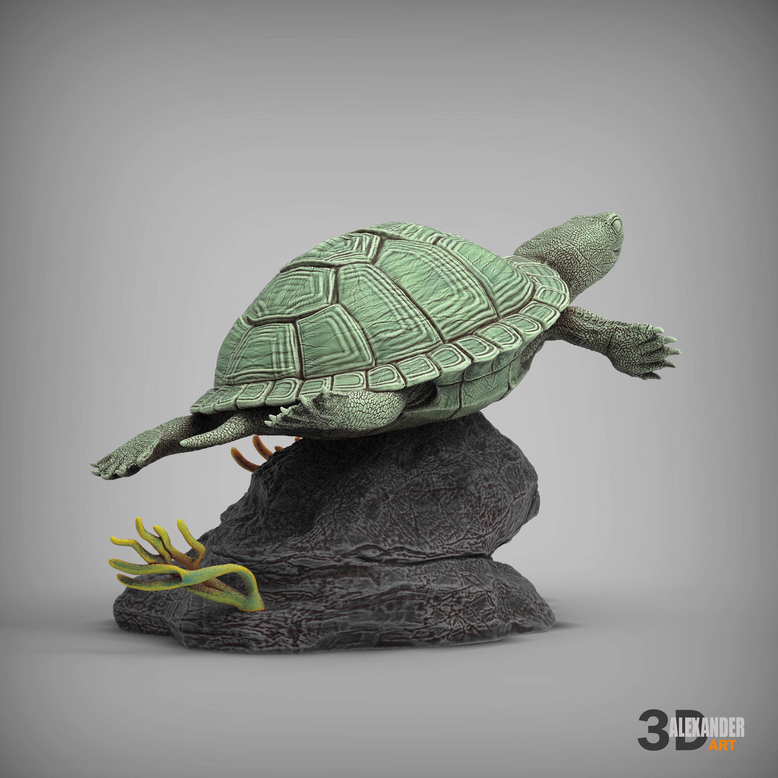 red-eared slider turtle swimming 3D print model_5