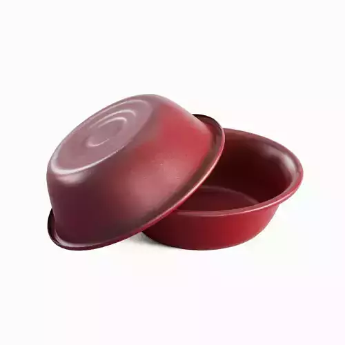 Plastic Wash Basin 03